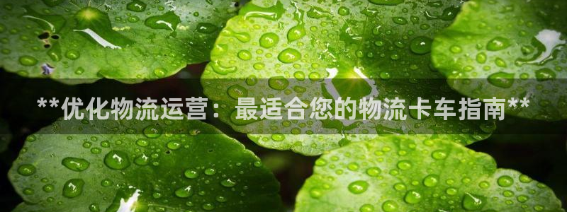 28圈注册网站：**优化物流运营：最