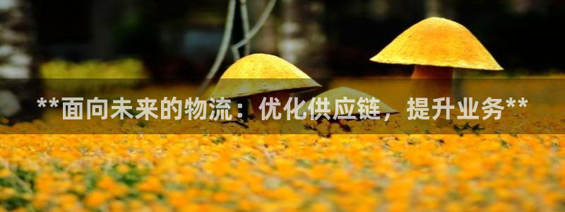 28圈.ccm2024：**面向未来