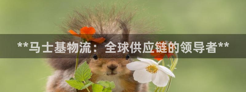 28圈代理落网：**马士基物流：全球