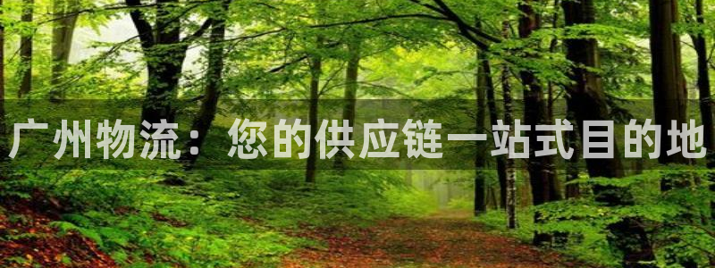 28圈新用户怎么注册：广州物流：您的