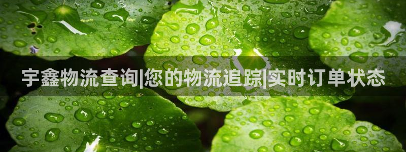 28圈能不能退