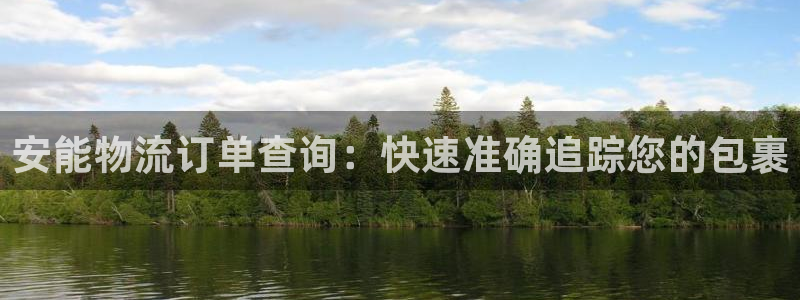 28圈链接：安能物流订单查询：快速准