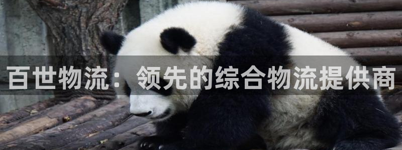 28圈忘记账号