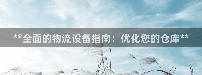 28圈软件：**全面的物流设备指南：