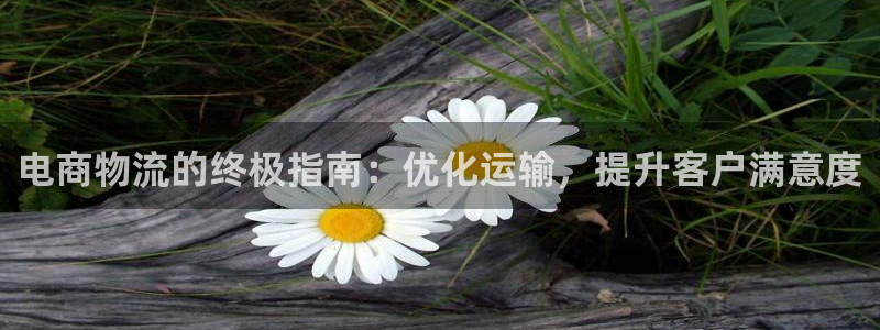 28圈系统自动保护：电商物流的终极指