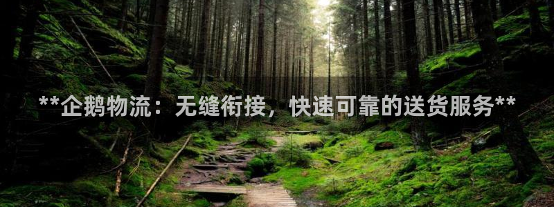 28圈充值不到账怎么办：**企鹅物流