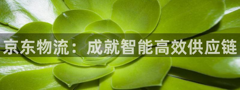 28圈登陆网：京东物流：成就智能高效