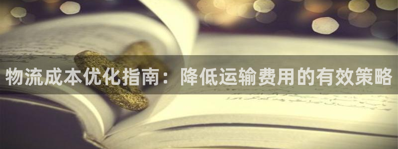 28圈注册送：物流成本优化指南：降低