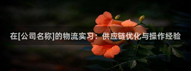 28圈娱乐官网网页下载
