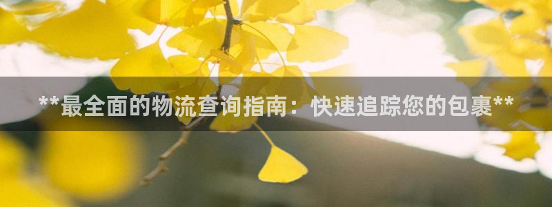 28圈是什么软件：**最全面的物流查