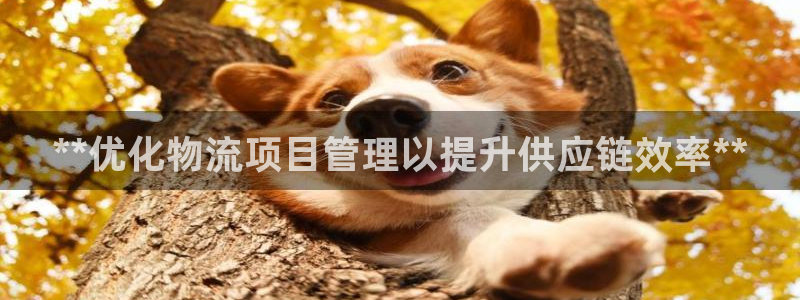 28圈软件有什么用：**优化物流项目
