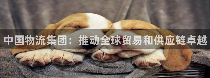 28圈.ccm官网