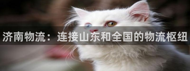 28圈充值不到账什么原因：济南物流：