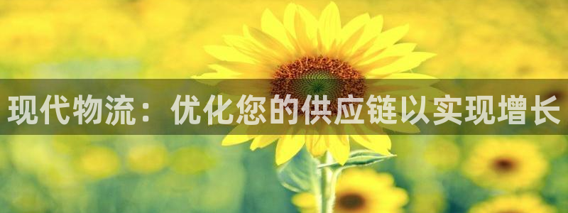 28圈返水怎么算的：现代物流：优化您