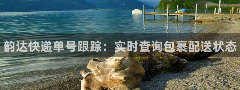 28圈官方官网：韵达快递单号跟踪：实