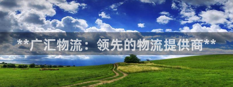 28圈预测：**广汇物流：领先的物流