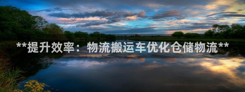 28圈退款教程：**提升效率：物流搬