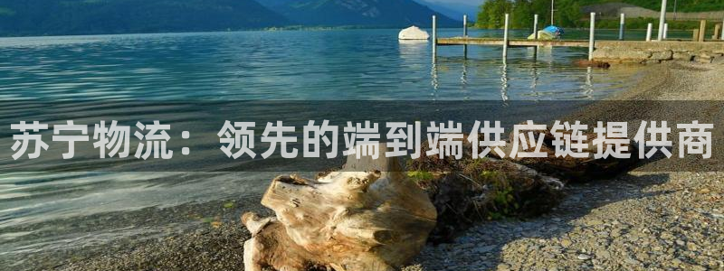 28圈推广链接是多少粉丝：苏宁物流：