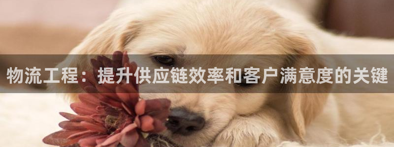 28圈充值不到账怎么回事