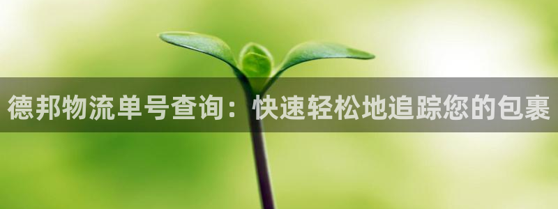 28圈app怎么注册账号：德邦物流单