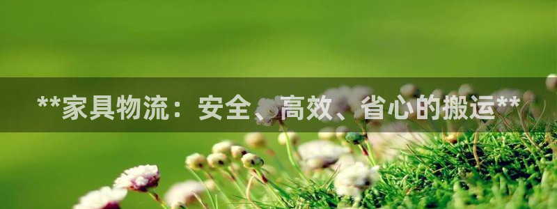 加拿大28圈是什么
