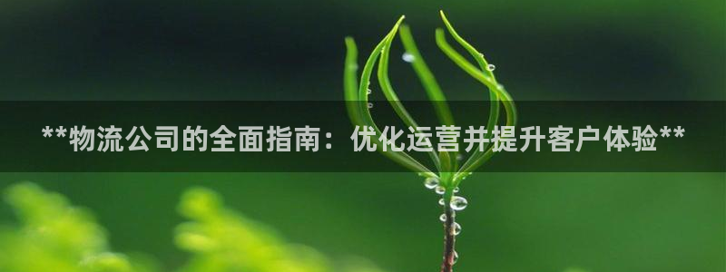 28圈怎么申请代理：**物流公司的全