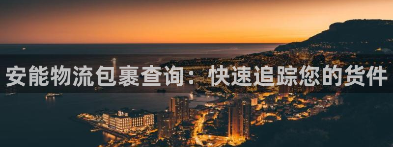 28圈登录网：安能物流包裹查询：快速