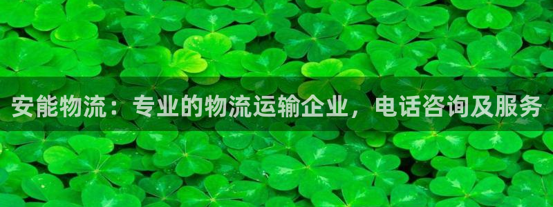 28圈游戏官网平台：安能物流：专业的