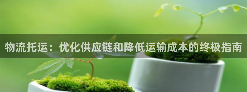 28圈注册号：物流托运：优化供应链和