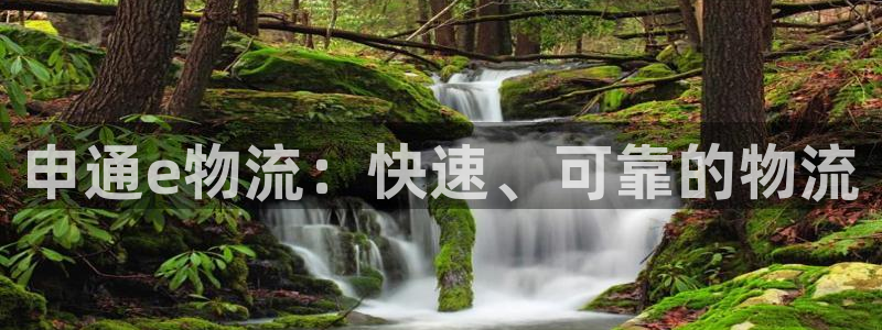 28圈怎么注册账号：申通e物流：快速