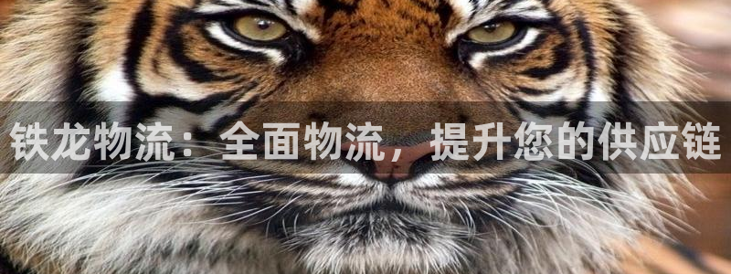 28圈大舞台