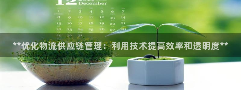 28圈网站平台是多少：**优化物流供