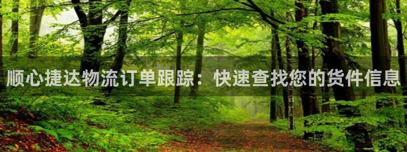 28圈加拿大下载：顺心捷达物流订单跟