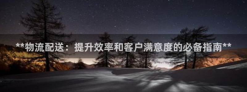 28圈下载不了：**物流配送：提升效