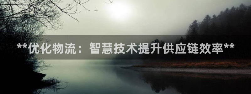 28圈加拿大模拟器：**优化物流：智