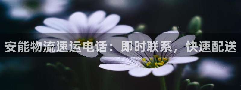 28圈加拿大是什么意思
