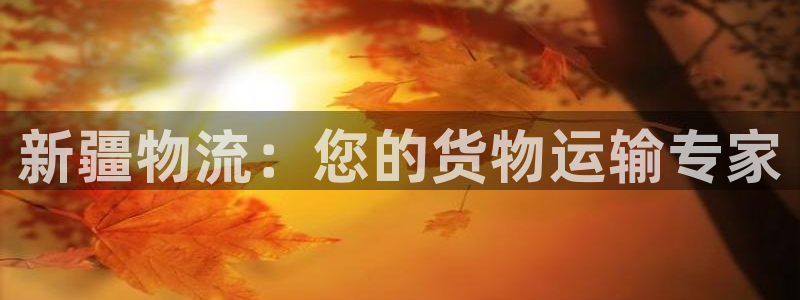 28圈黑吗：新疆物流：您的货物运输专