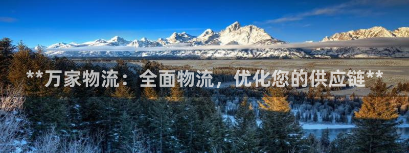 28圈里的财神：**万家物流：全面物