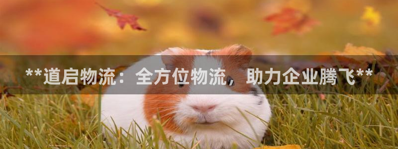 28圈pg麻将胡了：**道启物流：全