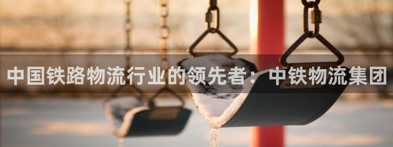 28圈体育下载：中国铁路物流行业的领先者：中铁物流集团