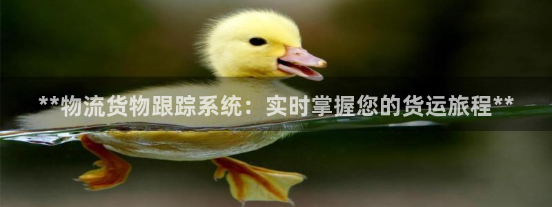 28圈加拿大最新版：**物流货物跟踪