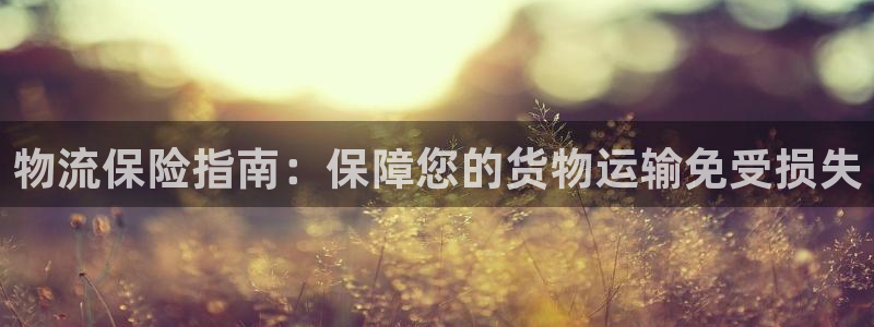 28圈软件是什么：物流保险指南：保障