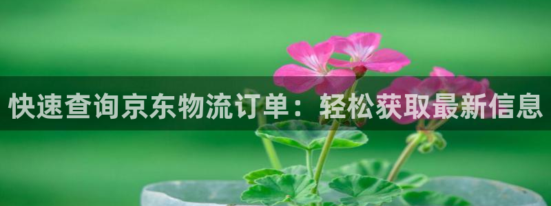 28圈游戏链接：快速查询京东物流订单
