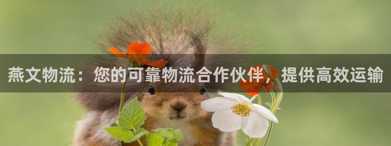 28圈是正规平台吗
