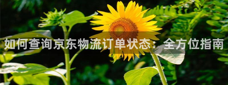 28圈口内径是多大：如何查询京东物流