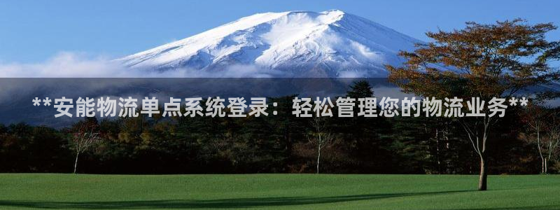 28圈麻将胡了：**安能物流单点系统