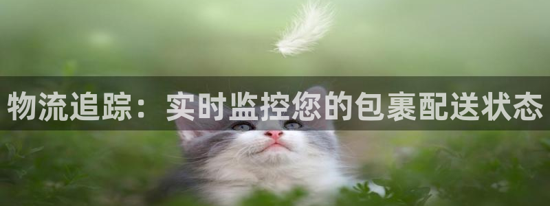 28圈怎么注册下载：物流追踪：实时监控您的包裹配送状态