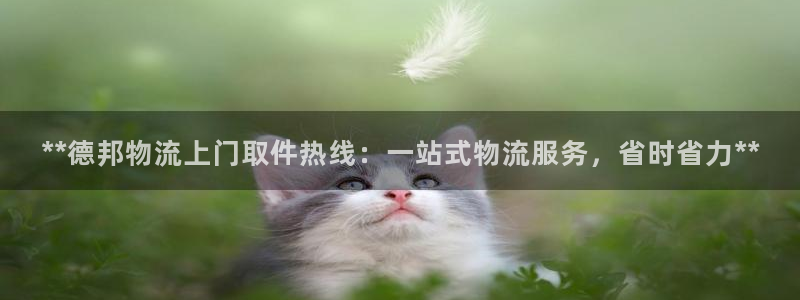 28圈加拿大下载：**德邦物流上门取