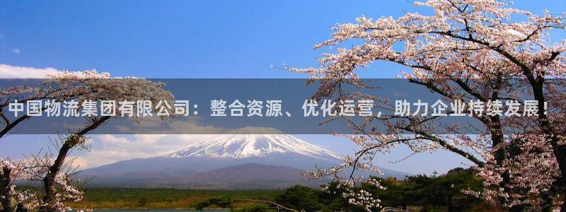 28圈cn：中国物流集团有限公司：整