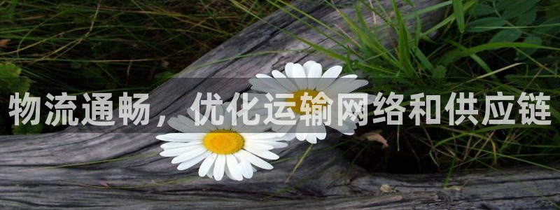 28圈在线预测官网：物流通畅，优化运